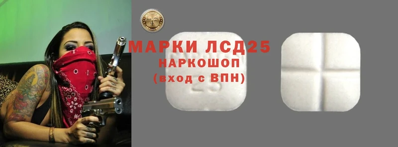 дарнет шоп  Краснослободск  Лсд 25 экстази ecstasy 